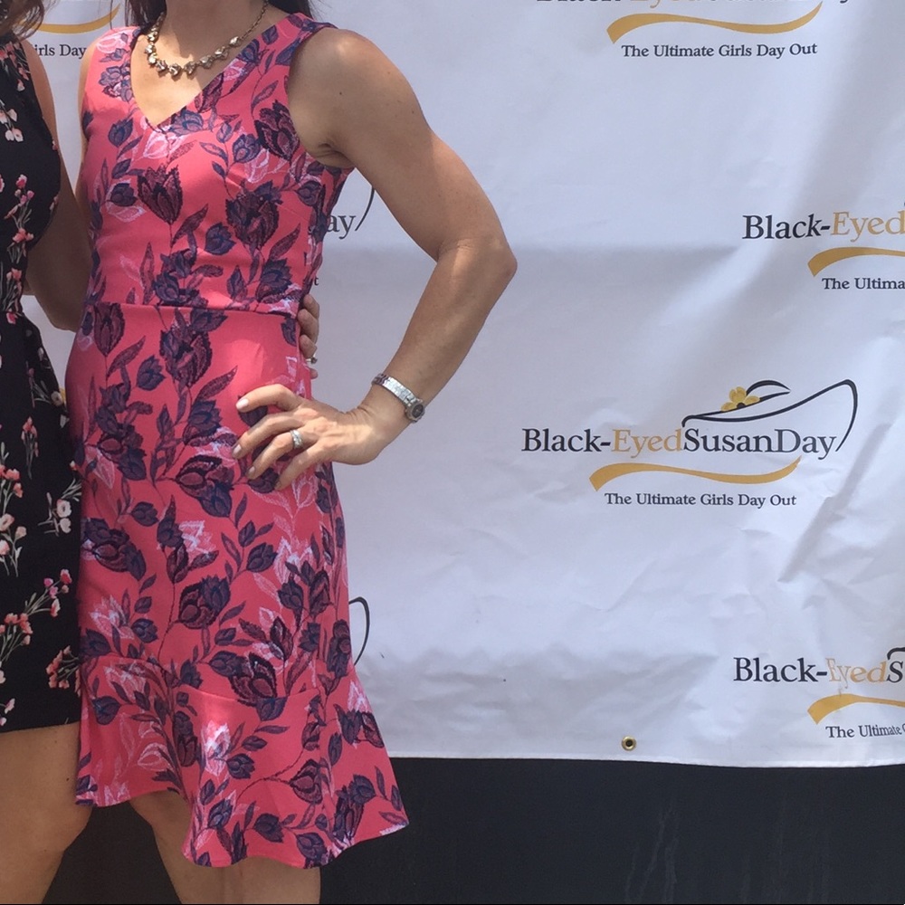 Women’s Banana Republic Dress size 0